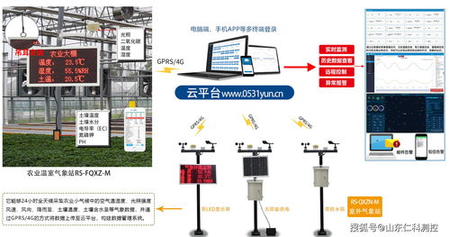 物联网技术服务 以传感器技术助力农业优化升级与绿色发展