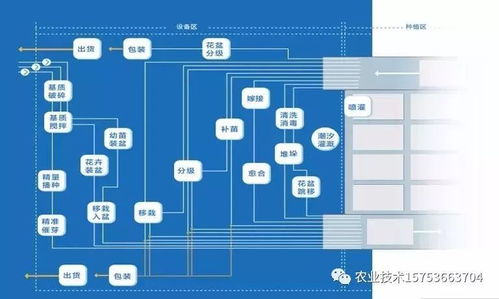 物联网技术驱动下的蔬菜工厂化生产 科技时代的精细农业革命